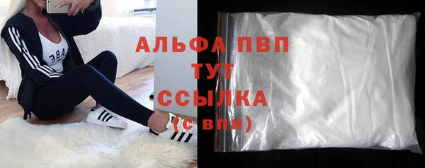 гашик Новокубанск