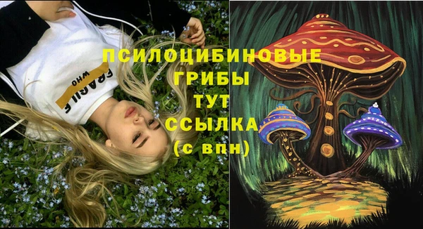 jwh Новозыбков