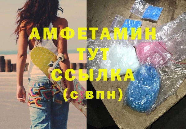 ПСИЛОЦИБИНОВЫЕ ГРИБЫ Няндома