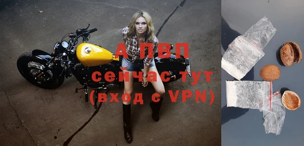 гашик Новокубанск