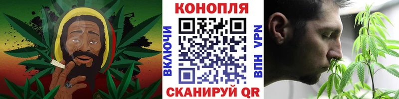 Каннабис индика Никольское